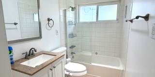 Beautiful Newly Renovated 3BD 2BA Gallery 11