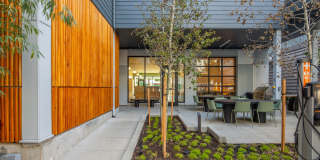 The Frankie Gallery 22