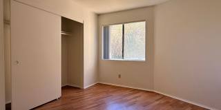 Bright 2 Bedroom Condo with Fireplace, Washer/Dryer, and 1/2 a mile to USD Gallery 4