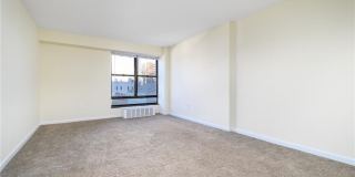 44 Strawberry Hill Avenue Gallery 15