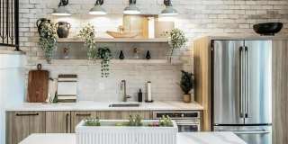 Alta Wren Gallery 20