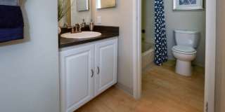 Ironwood at the Ranch Gallery 14