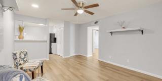 3243 Nacogdoches Gallery 3