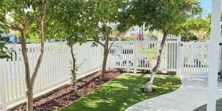 3809 Pine Gallery 4