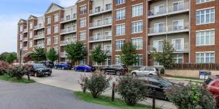 C Street Flats Gallery 16