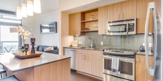 Windsor Cirrus Gallery 21