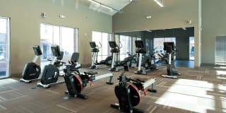 Luxembourg Gallery 42