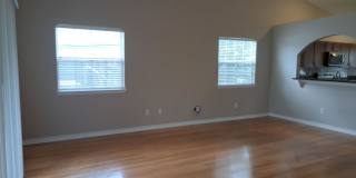 3413 Jasmine Trace Lane Gallery 12