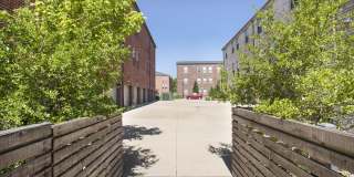 Thrive Argenta Gallery 30