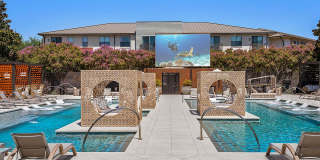 Legacy North Gallery 43