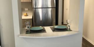 1132 N Dearborn St Gallery 5