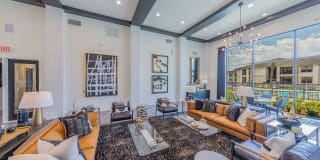 Palmetto Pointe Gallery 4