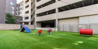 The Standard at Domain Northside Apartments Gallery 8