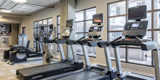 North and Line Apartments Gallery 6