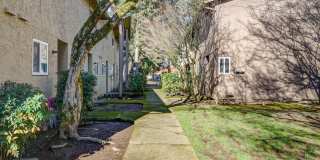 Spacious and immaculate townhomes! Gallery 21