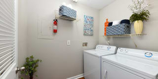 Branchwater Gallery 5