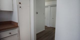 11402 Cherry Hill Road - 103 Gallery 4