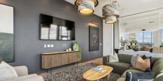 Premiere on Pine Gallery 12