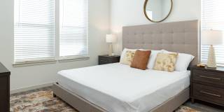 Vireo Medical District Gallery 11