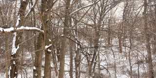 109 Reed Street Gallery 28