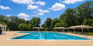 11959 WINGED FOOT Court Gallery 2