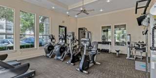 Cortland One Twenty One Gallery 12