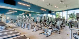 The View at TPC Gallery 2