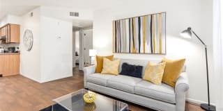 Portola West McDowell Gallery 19