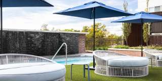 Fellow at Fitz Gallery 8