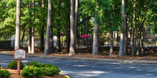 Thousand Oaks Gallery 71
