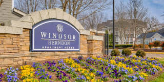 Windsor Herndon Gallery 36
