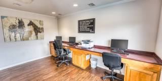 Juniper Springs Gallery 30