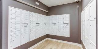 AVIA North Shore Gallery 19