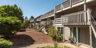 Hallmark Apartments Gallery 18