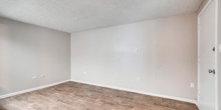 Estrella Gallery 18
