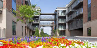 755 North Apartments Gallery 13