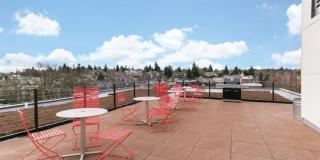 Helene Apartments Gallery 42