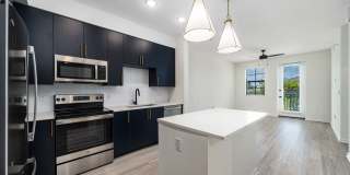 Solea at Miami Lakes Gallery 9