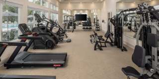 Prose Horizon Village Gallery 11