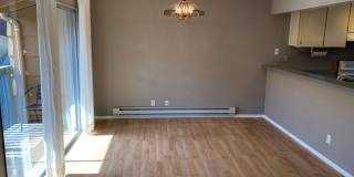 Clean Marina Condo (Park Marina) Gallery 9