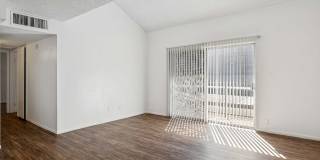 San Merida Gallery 12