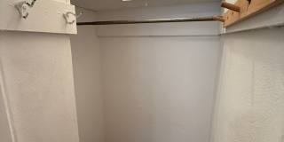 New King Edward Gallery 524