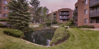 Alta Springs Gallery 19