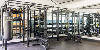 The Hillmont Gallery 12