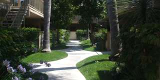 4119A 4119A Gallery 16