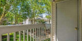 Discover Your Corvallis Escape: Near the River, Trails, and Parks Gallery 29