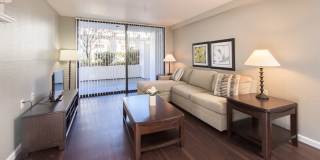 Colonnade Gallery 12