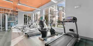 Bellrock Upper North Gallery 6