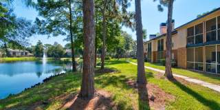 TimberLake Gallery 26