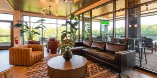 Carraway Village Gallery 17